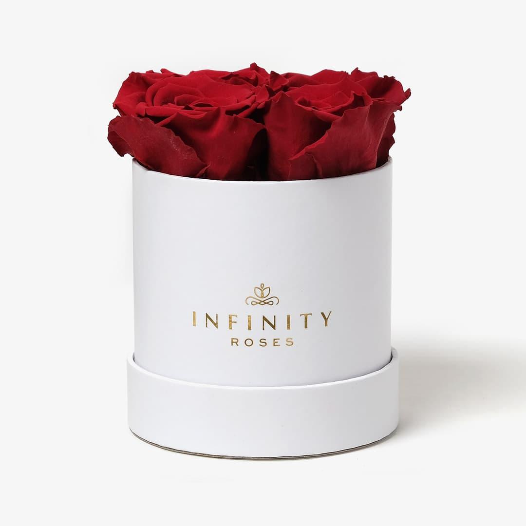 Small Rose Box - Red Rose - White Box