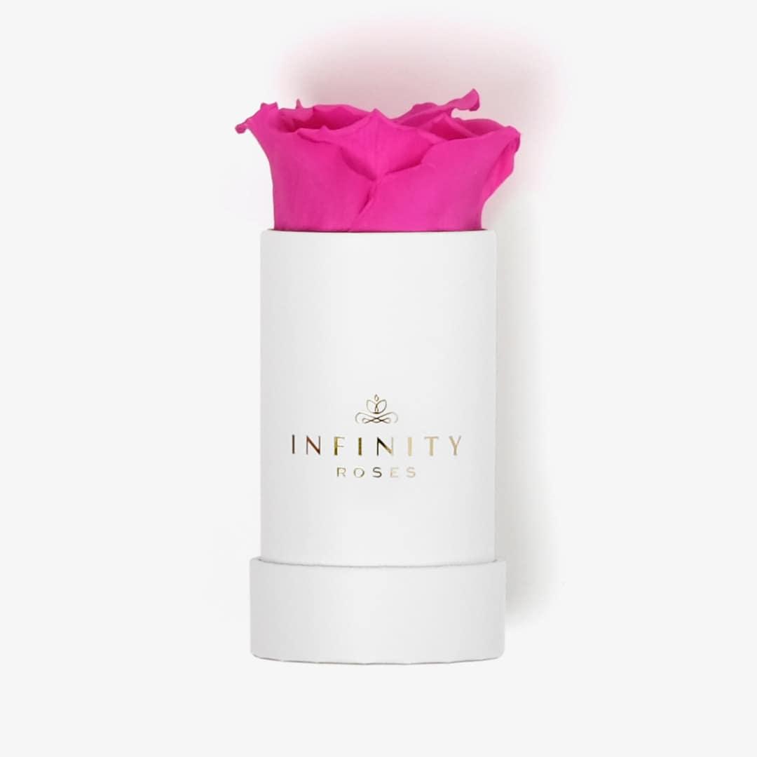 Single Rose Box - Hot Pink Rose - White Box