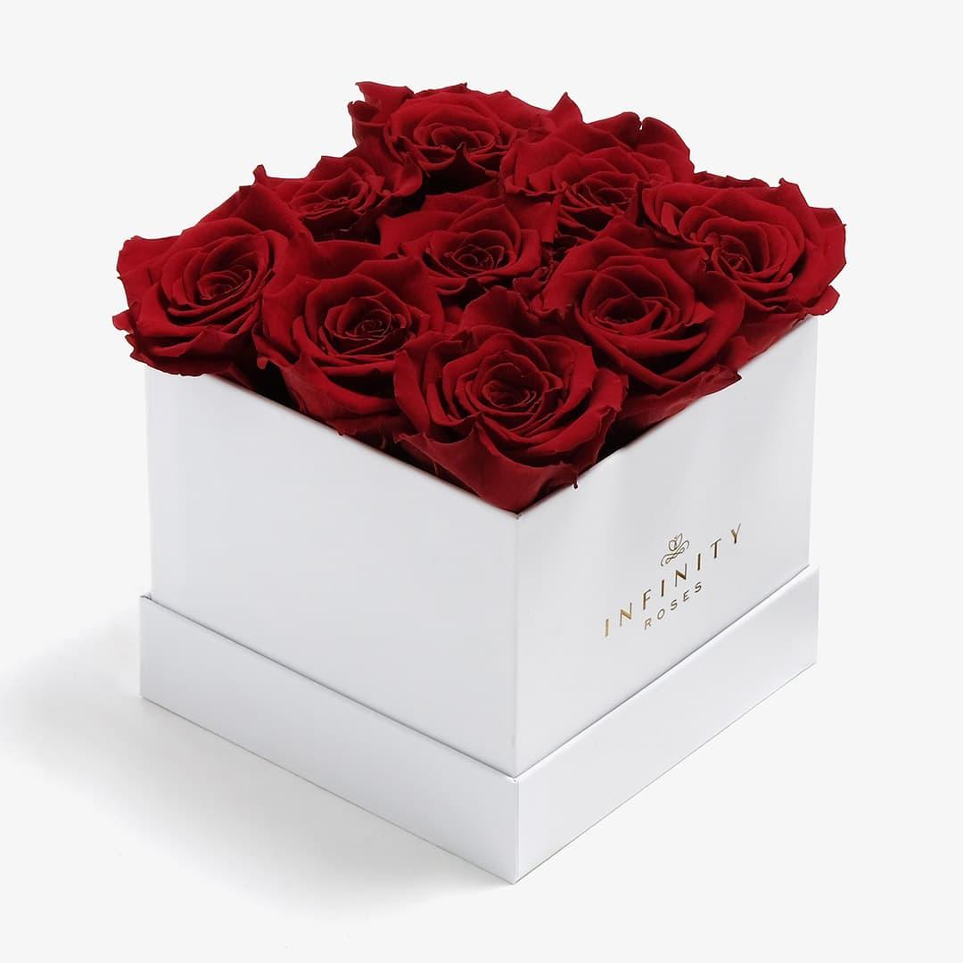 Medium Square Rose Box - Red Rose - White Box