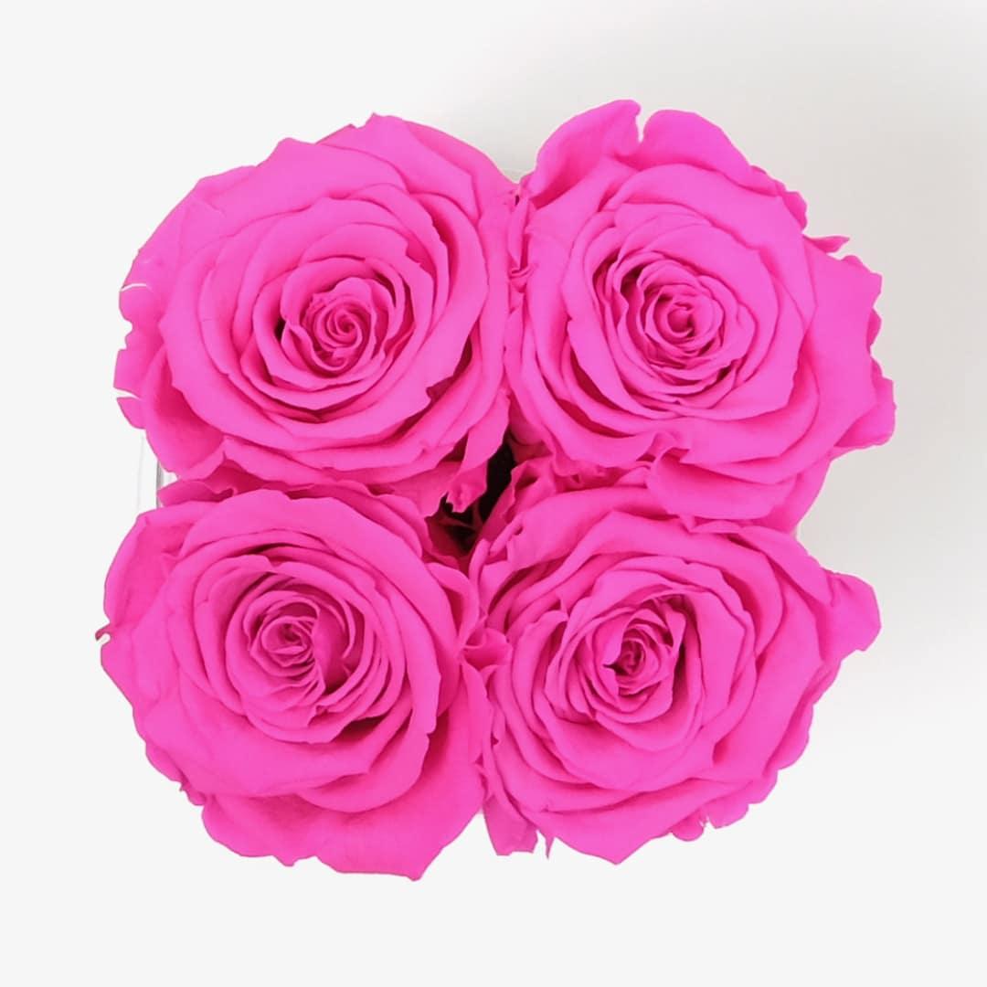 Small Rose Box - Hot Pink Rose - White Box