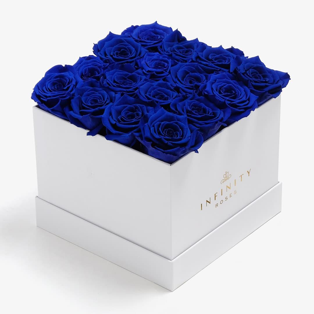 X-Large Square Rose box - Royal Blue Rose - White Box