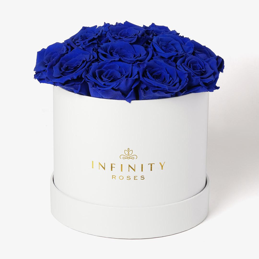 Large Bloom Rose Box - Royal Blue Rose - White Box
