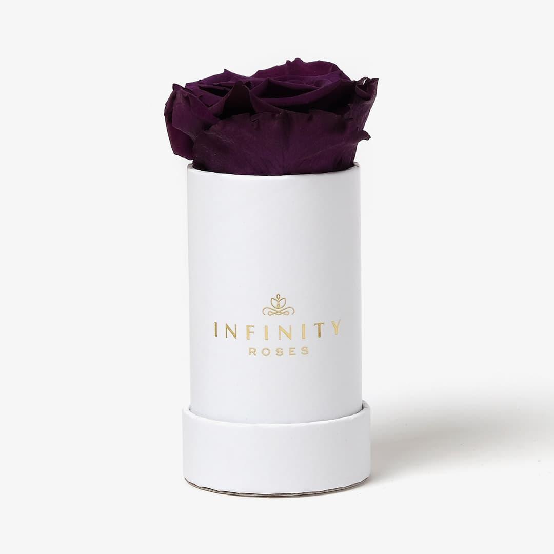 Single Rose Box - Violet Rose - Black Box