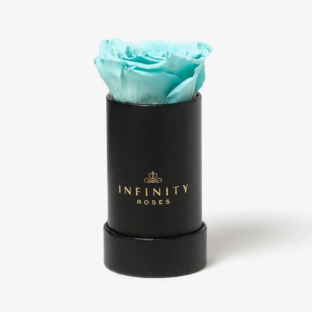 Single Rose Box - Baby Blue Rose - Black Box