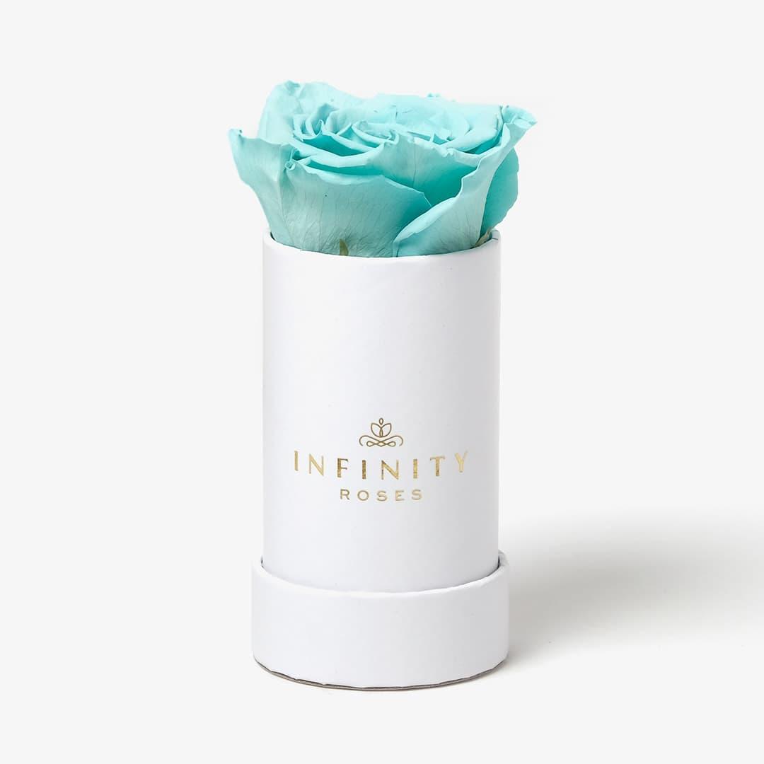 Single Rose Box - Baby Blue Rose - White Box