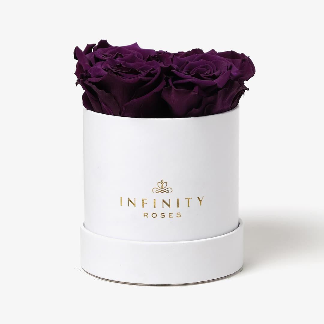 Small Rose Box - Violet Rose - White Box