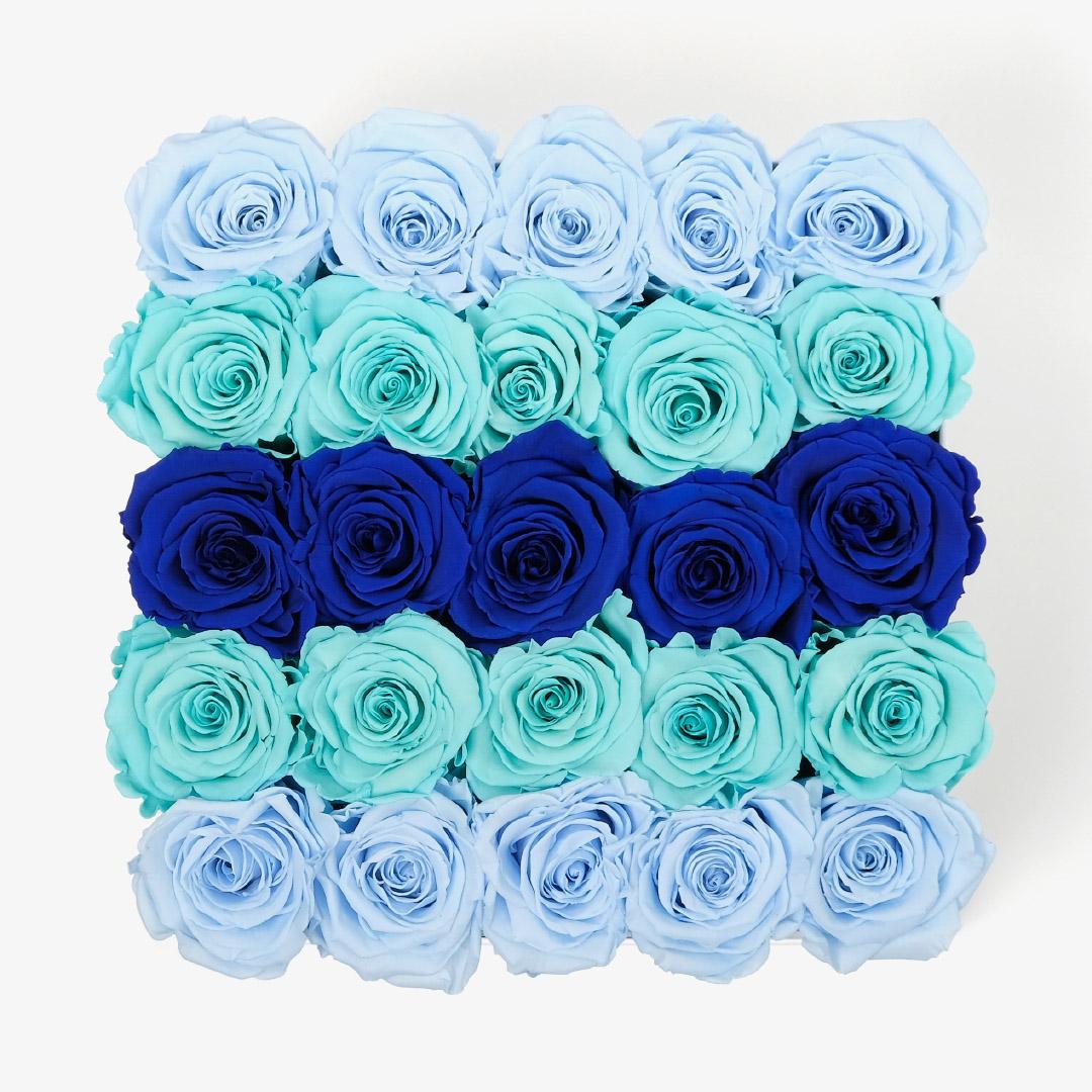 X-Large Square Ombre - Blue Ombre Rose - Black Box