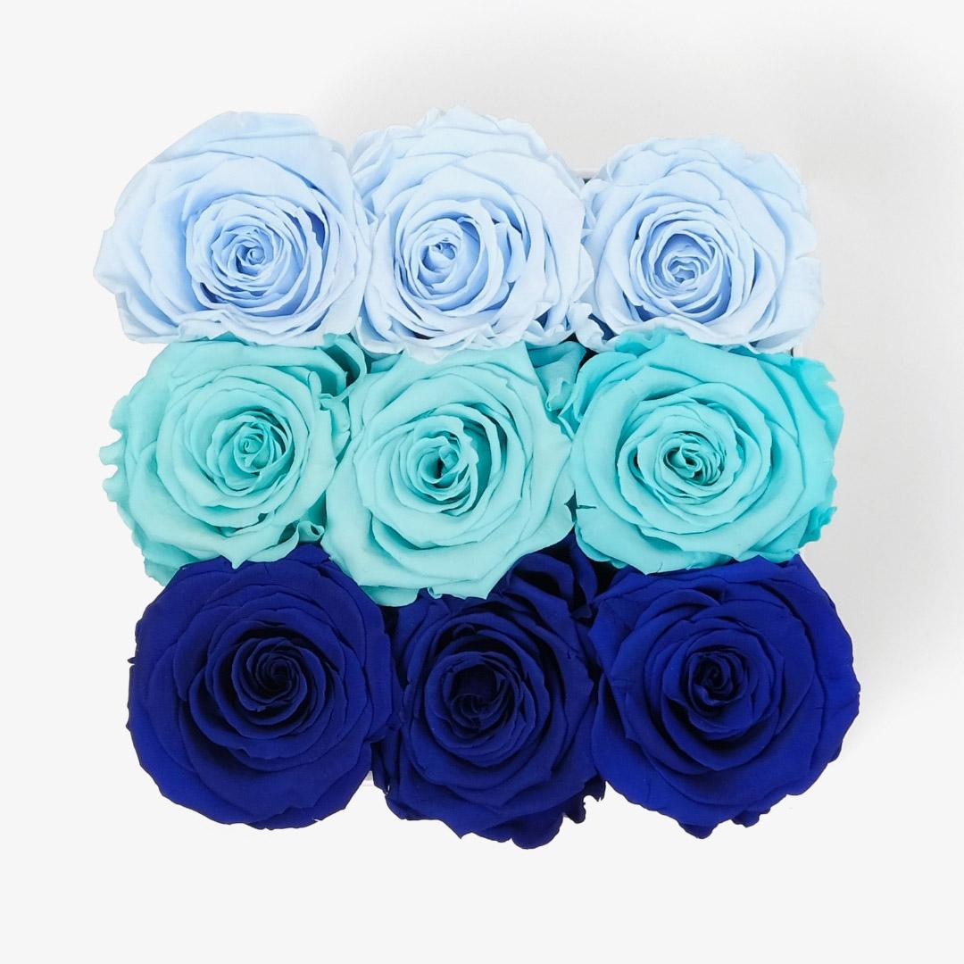 Medium Ombre Box - Blue Ombre Rose - White Box