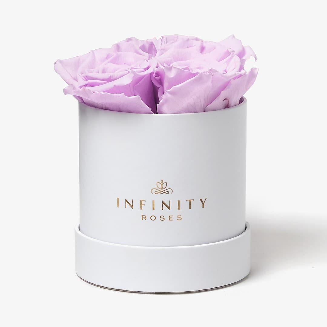 Small Rose Box - Lavender Rose - White Box