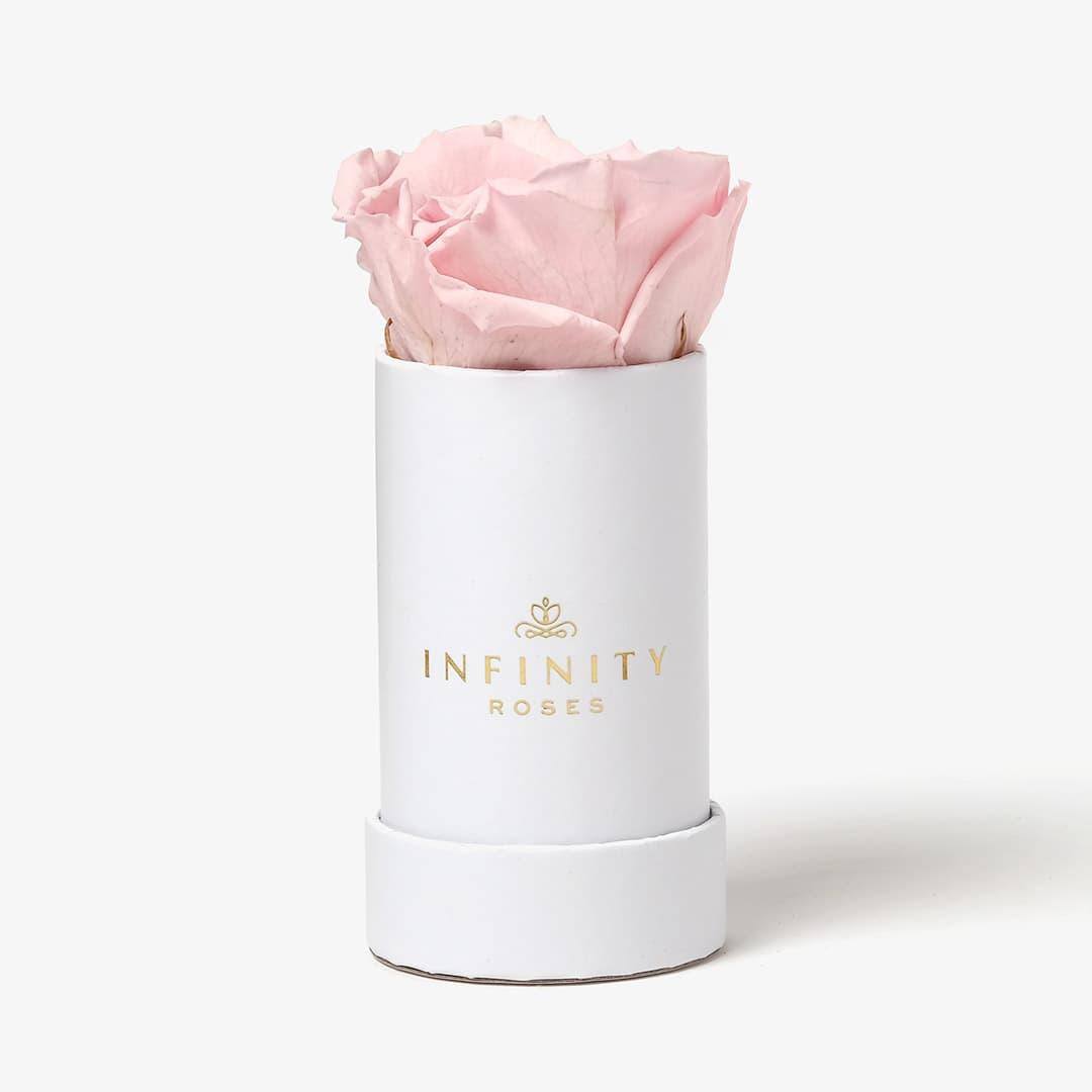 Single Rose Box - Pink Rose - White Box