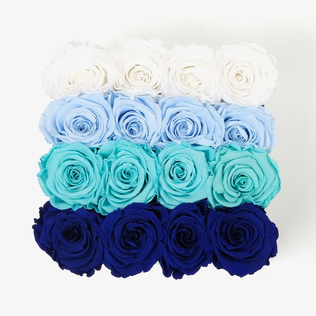 Large Square Ombre - Blue Ombre Rose - Black Box