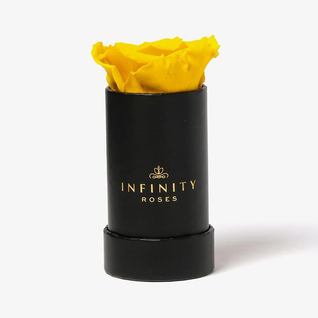 Single Rose Box - Yellow Rose - Black Box