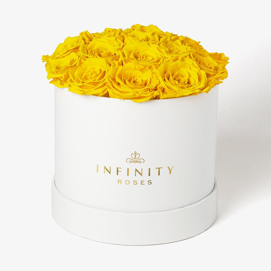 Large Bloom Rose Box - Yellow Rose - White Box
