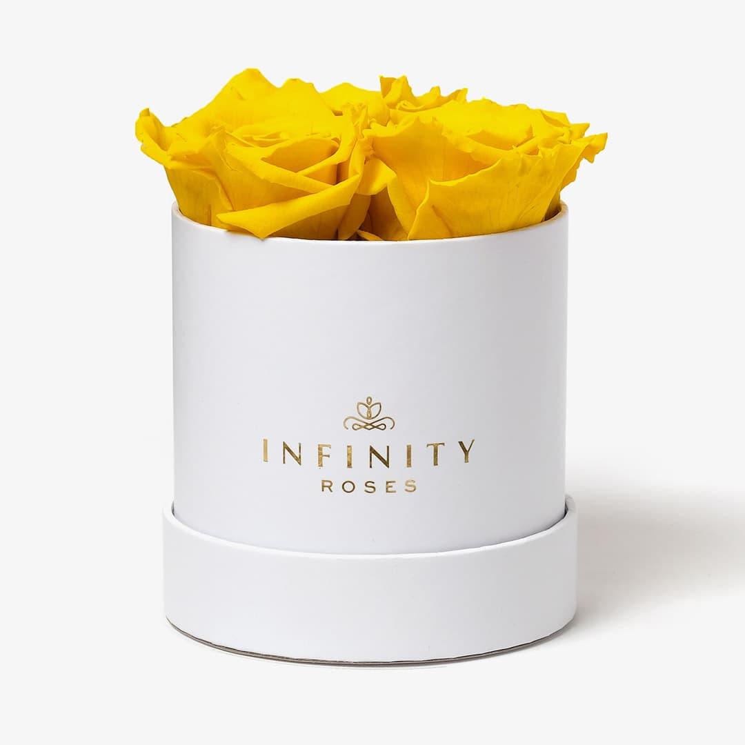Small Rose Box - Yellow Rose - White Box