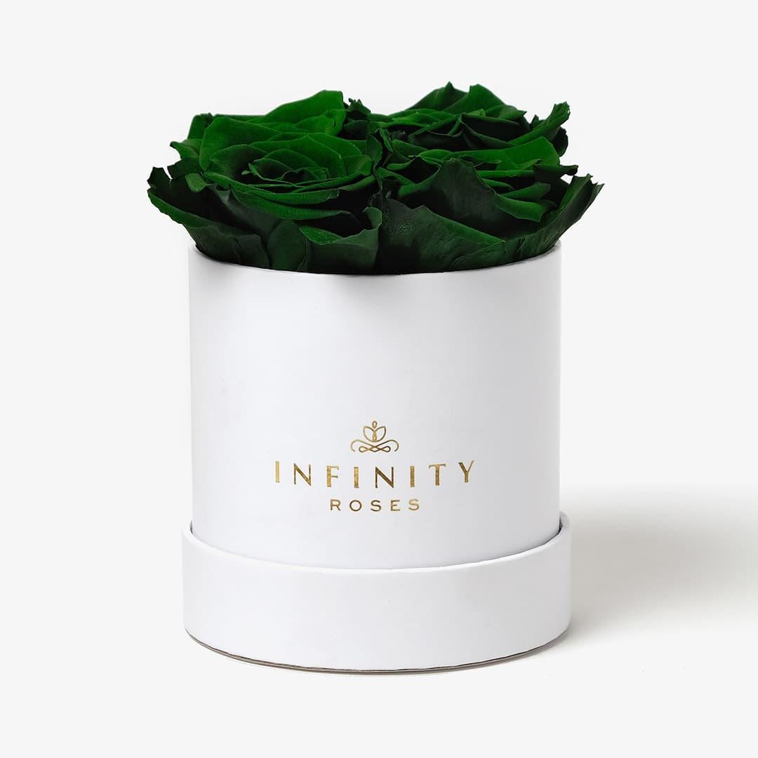Small Rose Box - Emerald Green Rose - White Box