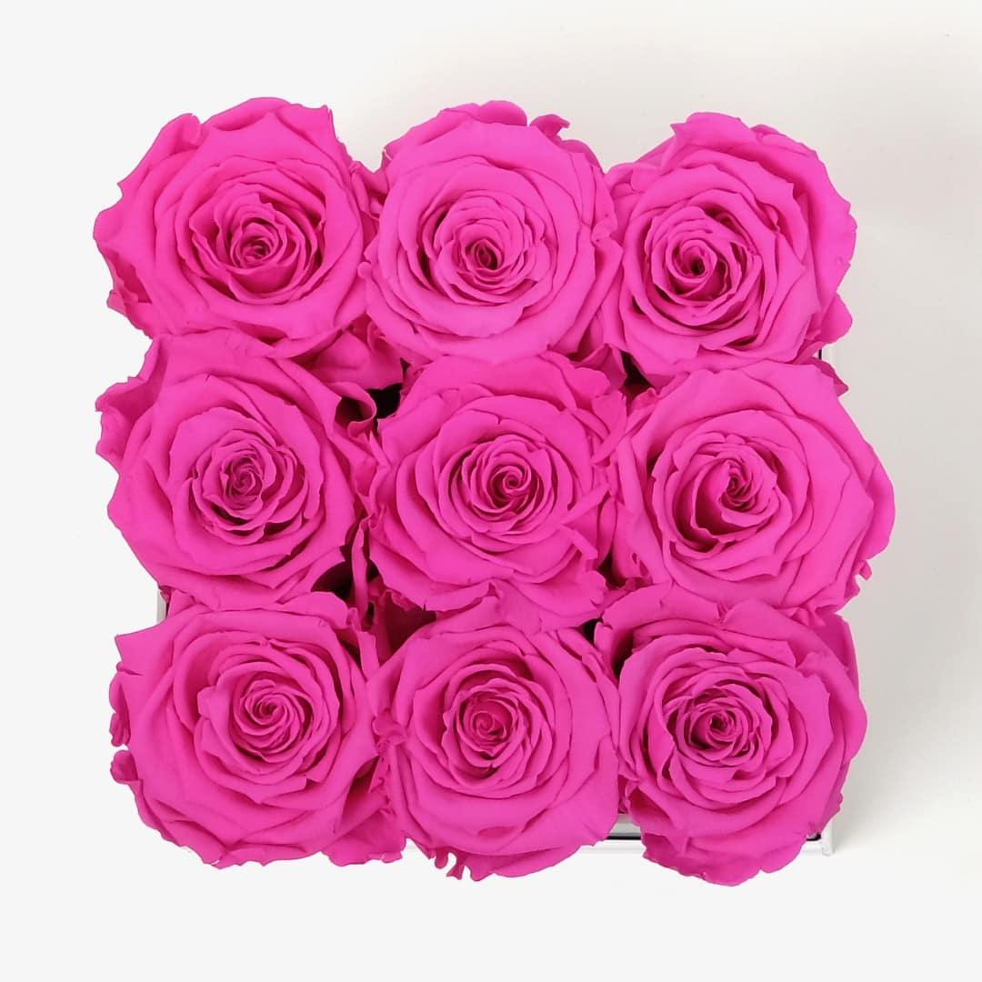 Medium Square Rose Box - Hot Pink Rose - White Box