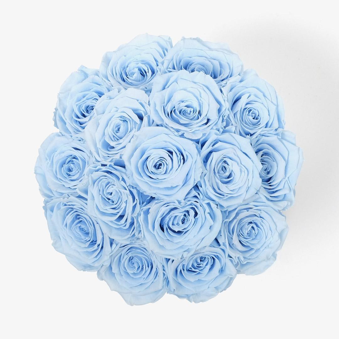 Large Bloom Rose Box - Baby Blue Rose - Black Box