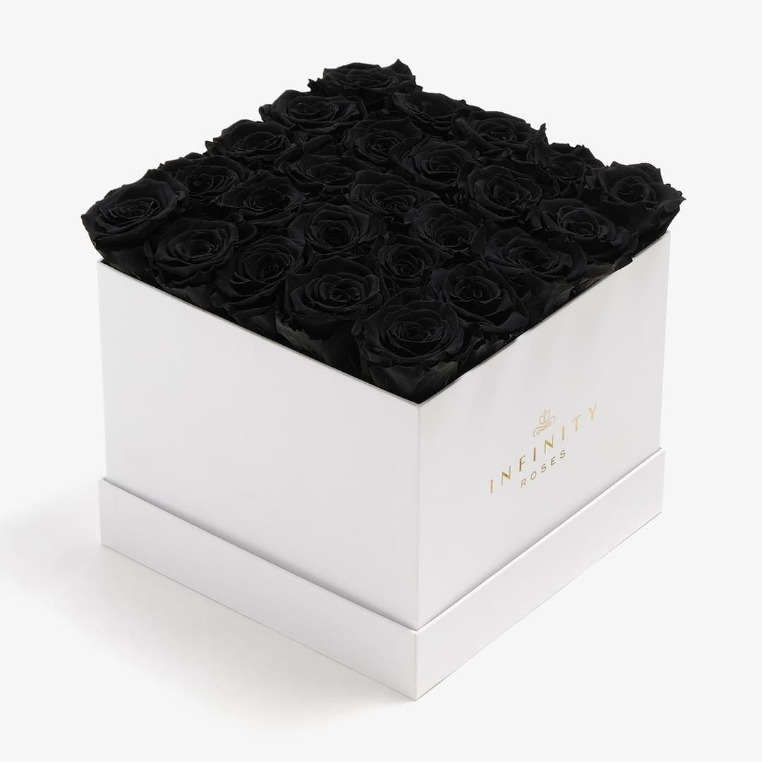 X-Large Square Rose box - Black Rose - White Box