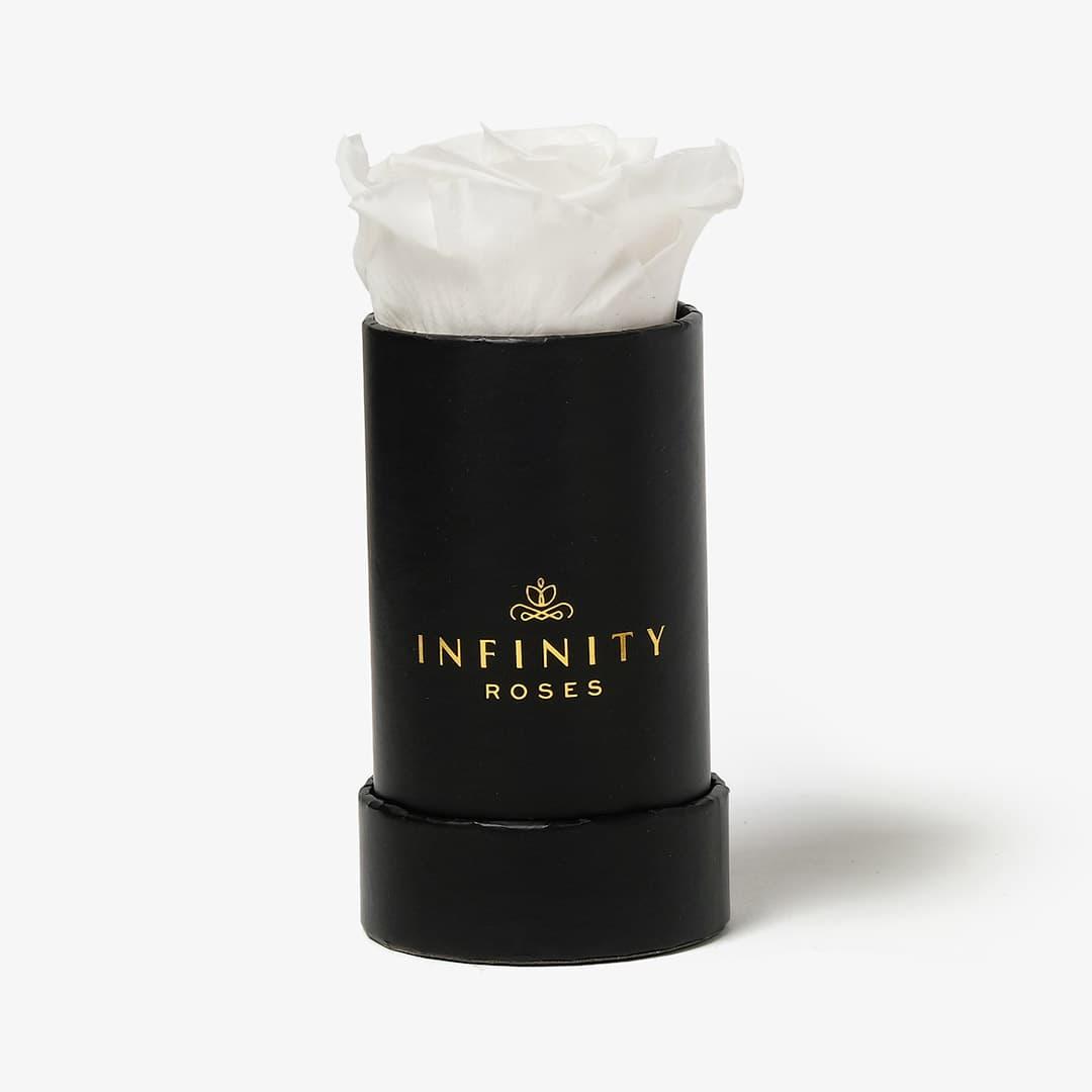 Single Rose Box - White Rose - Black Box