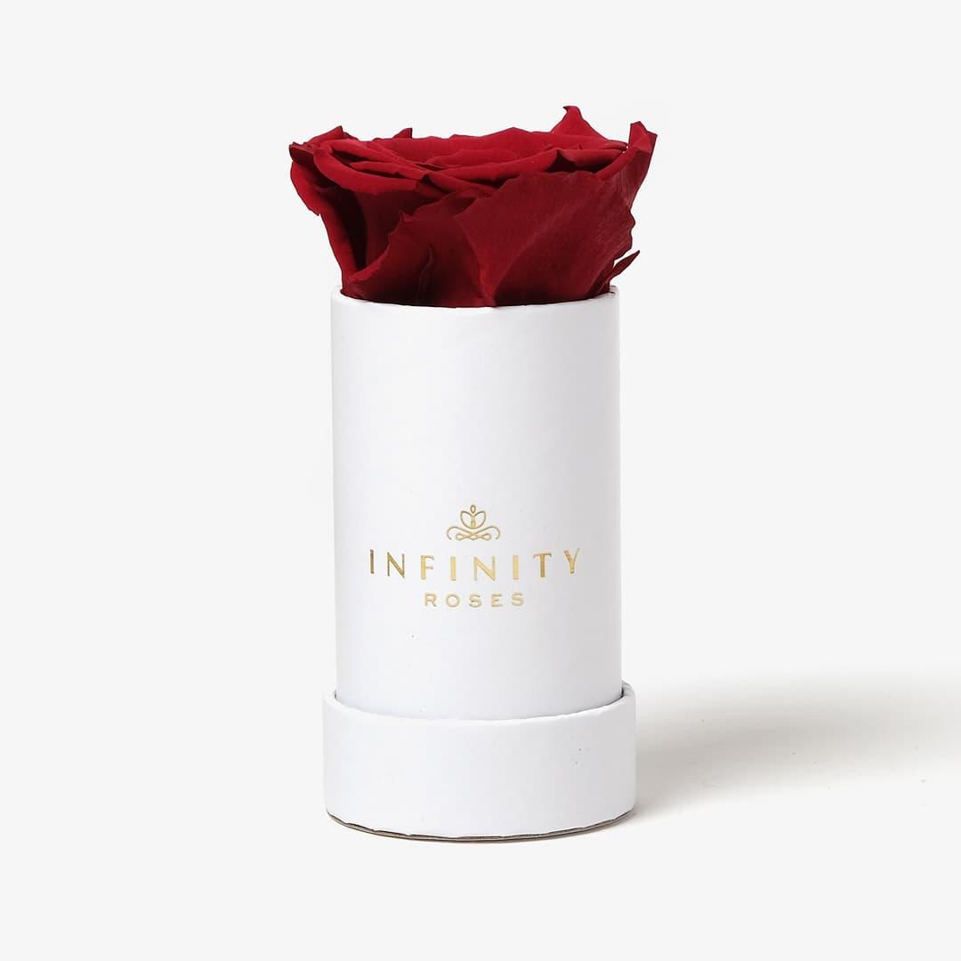 Single Rose Box - Red Rose - White Box