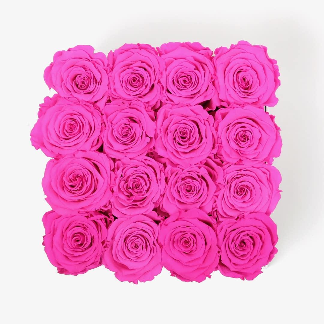 Large Square Rose Box - Hot Pink Rose - White Box