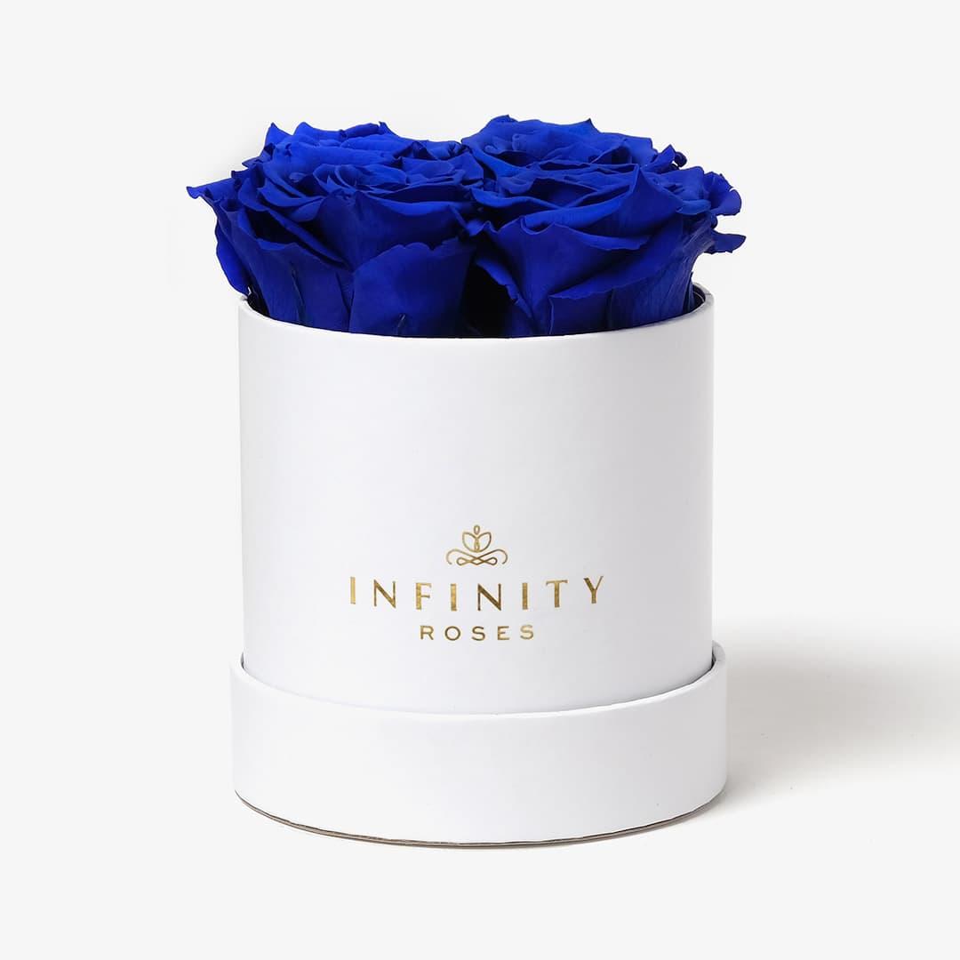 Small Rose Box - Royal Blue Rose - White Box