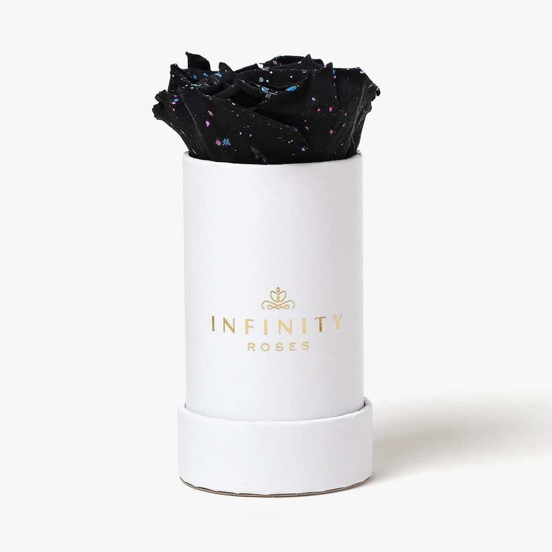 Single Rose Box - Black Galaxy Rose - White Box