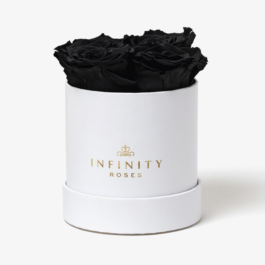 Small Rose Box - Black Rose - White Box