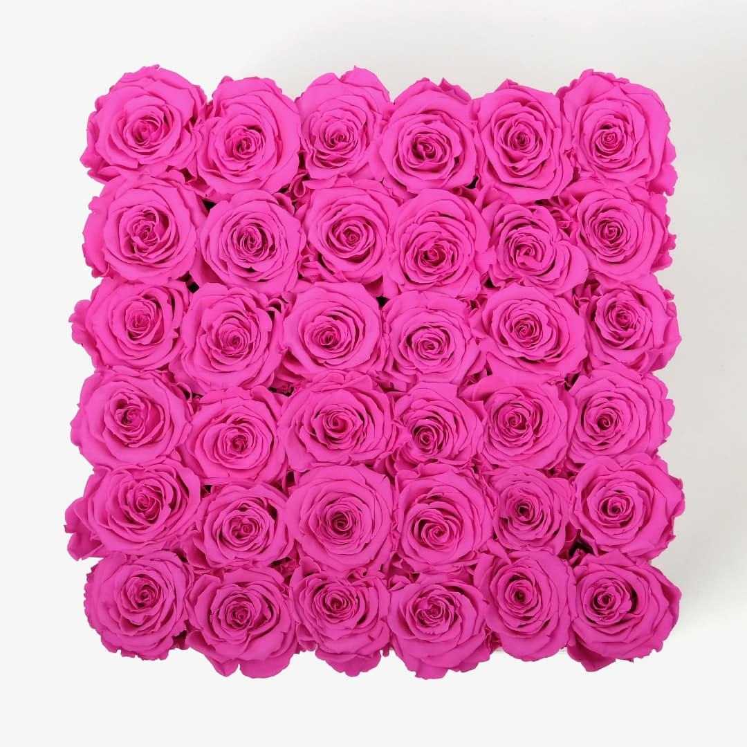 Grand Square Rose Box - Hot Pink Rose - White Box