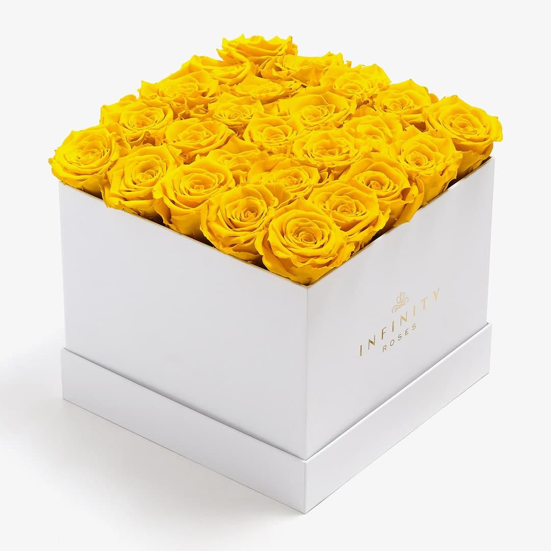 X-Large Square Rose box - Yellow Rose - White Box