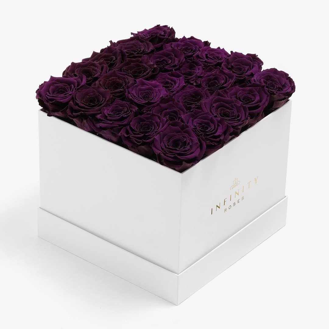 X-Large Square Rose box - Violet Rose - White Box
