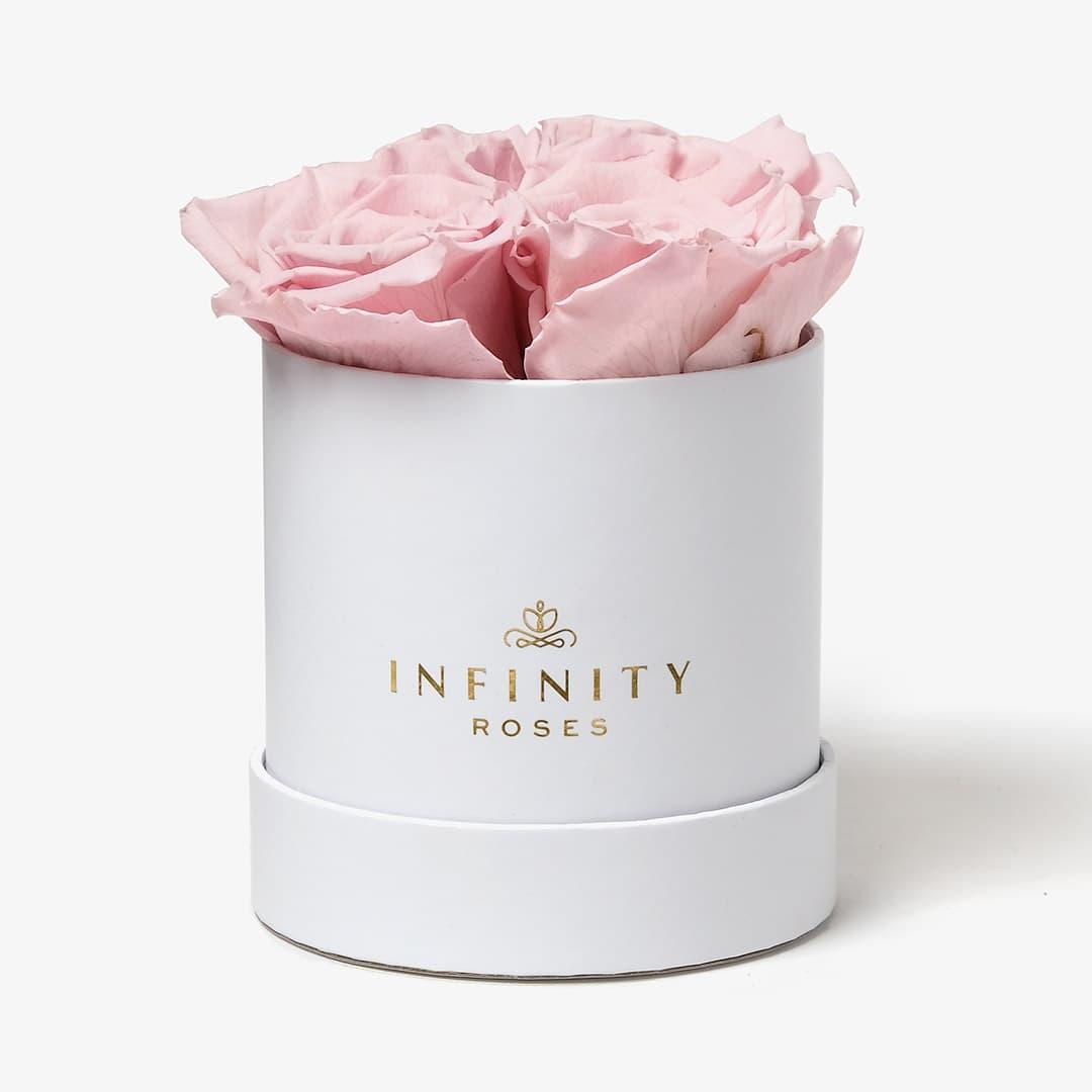 Small Rose Box - Pink Rose - White Box