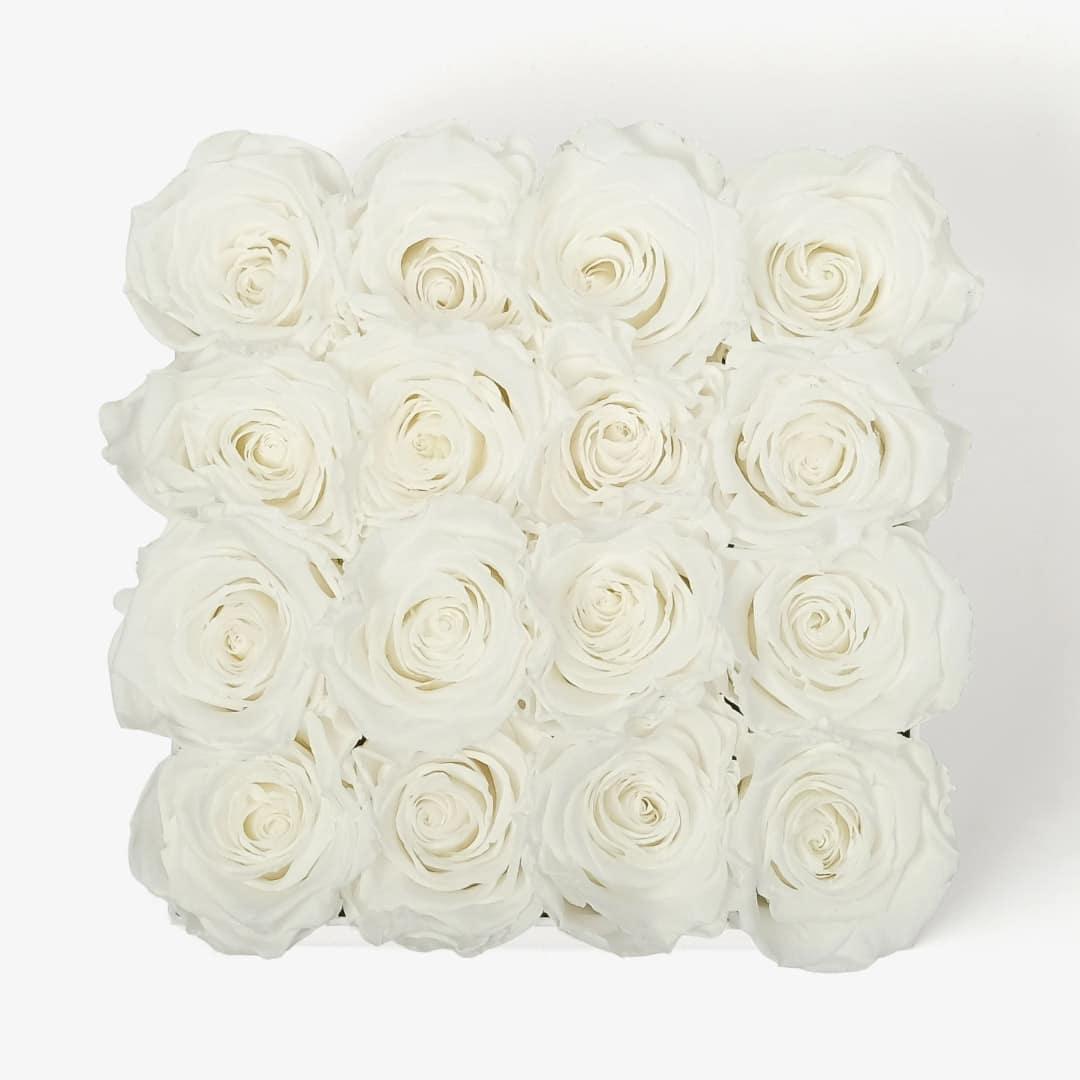 Large Square Rose Box - White Rose - White Box
