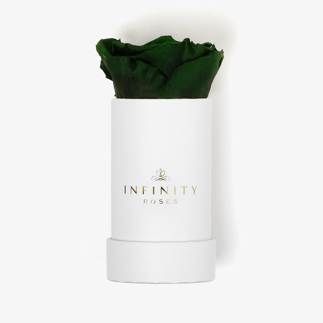 Single Rose Box - Emerald Green Rose - White Box