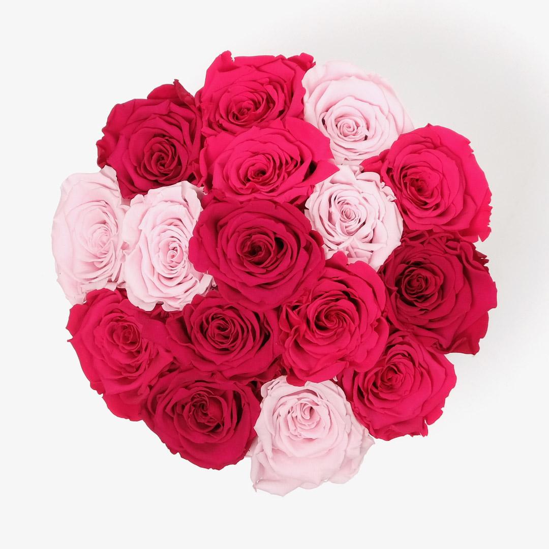 Large Bloom Ombre - Pink Ombre Rose - Black Box