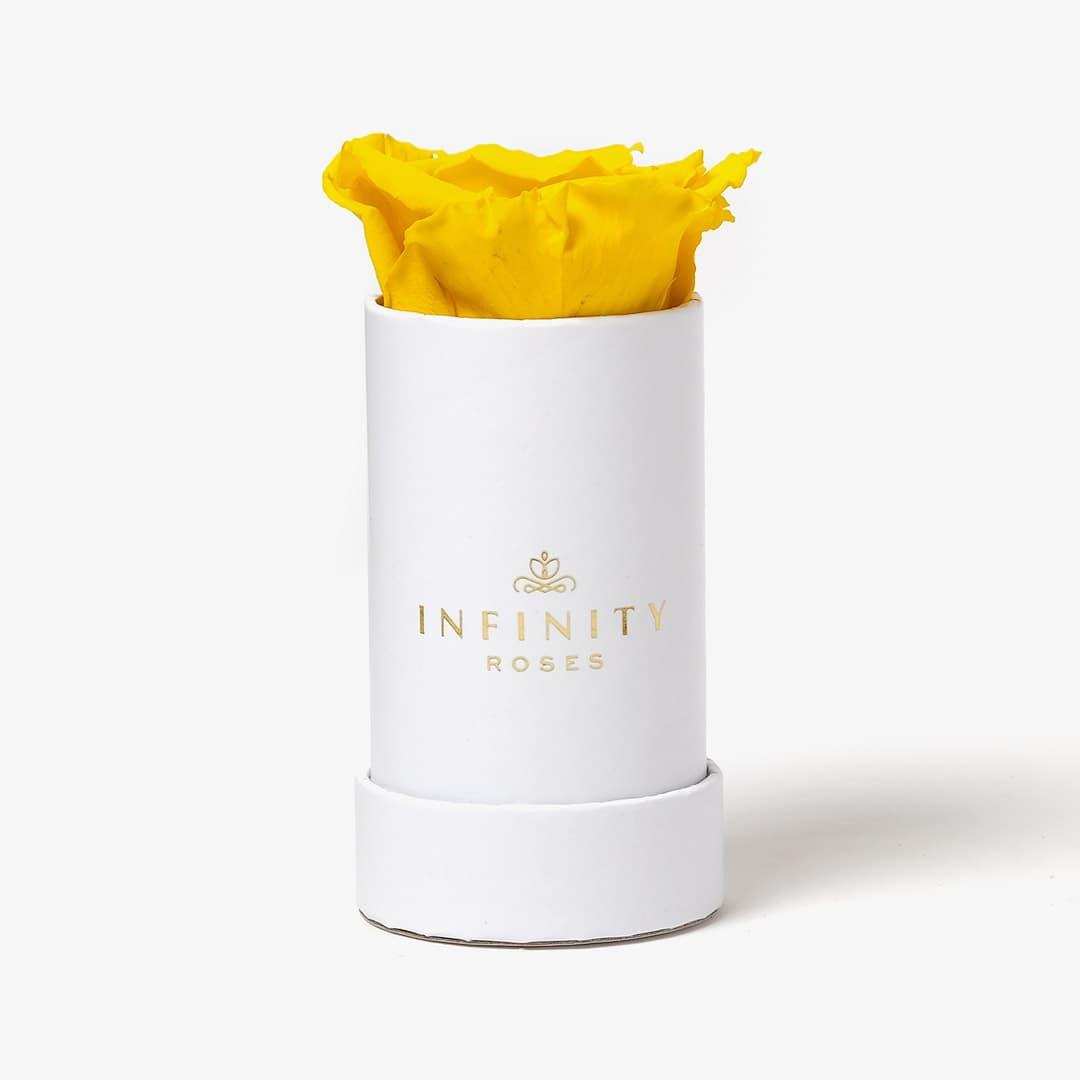 Single Rose Box - Yellow Rose - White Box
