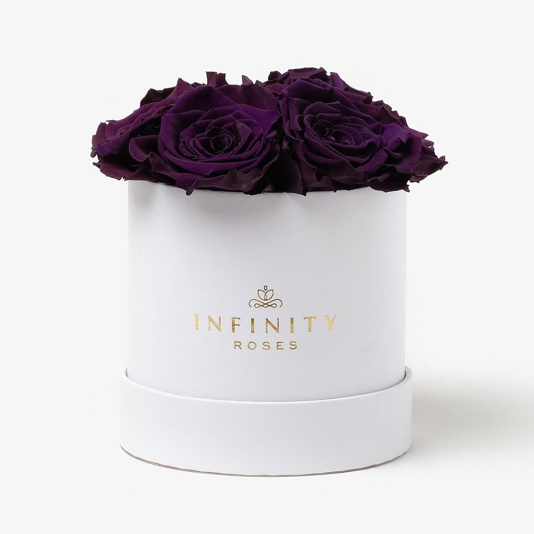 Medium Bloom Rose Box - Violet Rose - White Box