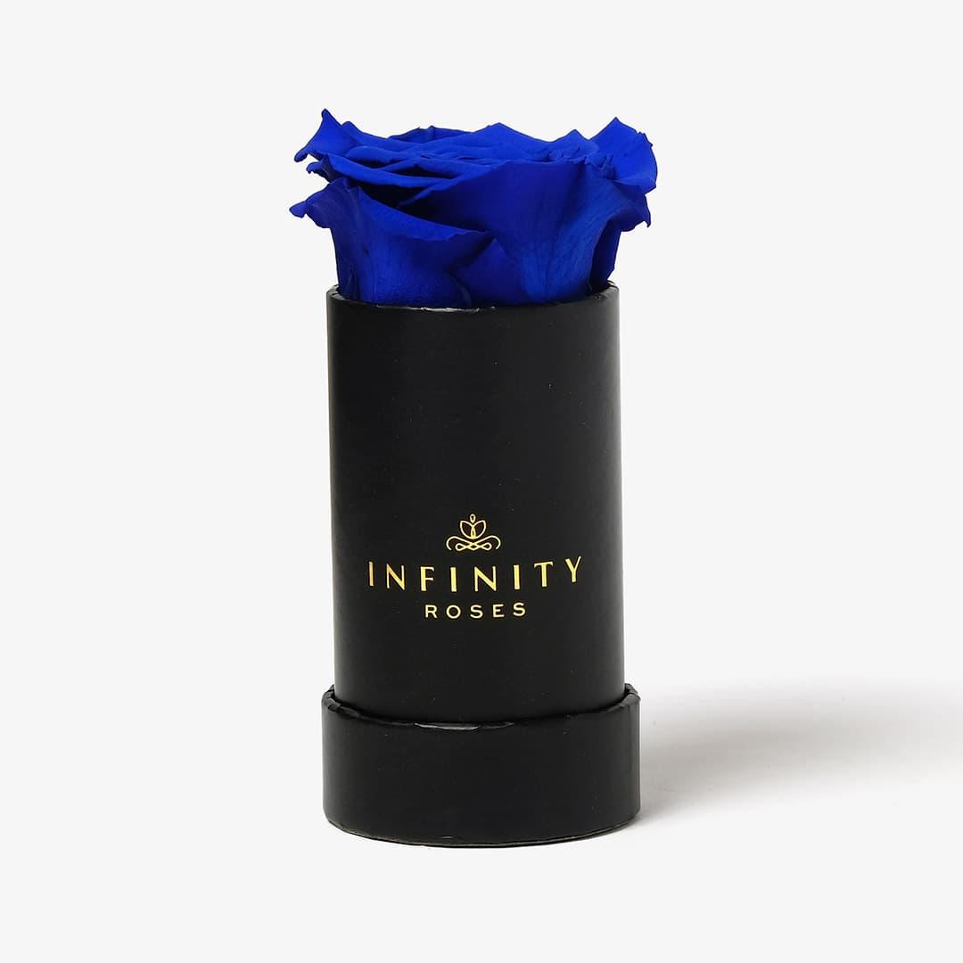 Single Rose Box - Royal Blue Rose - Black Box