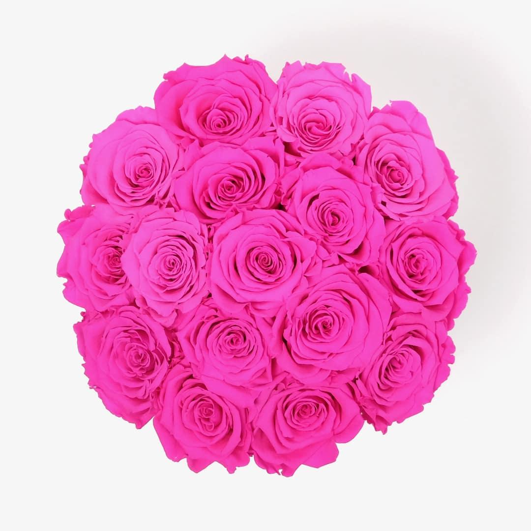 Large Bloom Rose Box - Hot Pink Rose - Black Box